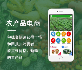 电商APP定制开发_电商APP开发解决方案_电商APP开发公司